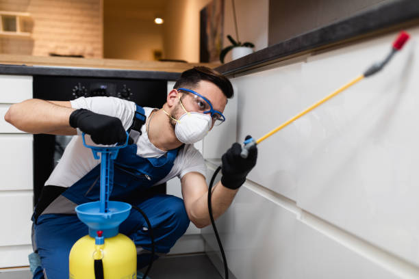 Best Flea Control Services  in Rocky Point, NY