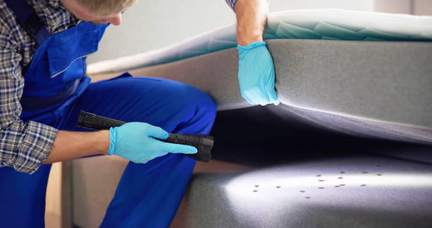 Best Residential Pest Control  in Rocky Point, NY